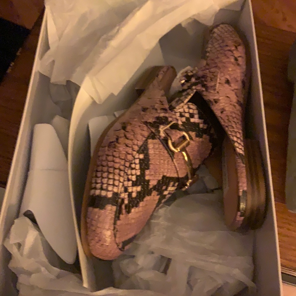 Steve Madden shoes